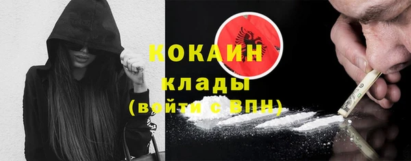 крисы Кулебаки